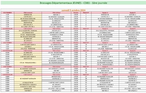 Les brassages départementaux débutent!  